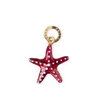 Charm Isola Bella in Argento e Smalti | Stella Marina - 20000033