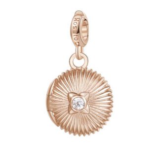Charm Rosato Argento PVD Rosè Medaglietta Scrigno - Storie - Z064