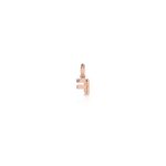 Charm Le Bebè in Oro Rosa e Argento con Lettera F - Lock Your Love - LBB170-F