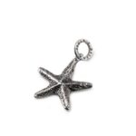 Charm Isola Bella in Argento Stella Marina – Nude – 20001086