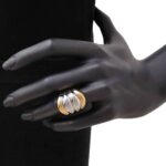 Anello Artlinea in Oro Giallo e Bianco Fascia Bicolore - Glam - AP028-LN