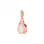 Charm Rosato in Argento con Smalto e Zirconi Coccinella Forza - Storie - RZLE048