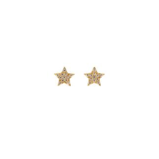 Orechini Luiber in Oro Giallo 9 kt - PE00501